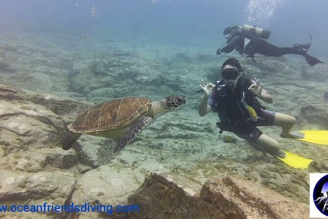 Discover Scuba Diving, free pictures included - What Do Travelers Say?