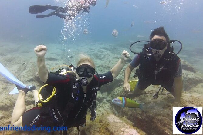 Discover Scuba Diving, free pictures included - Who Is This Tour Best For?