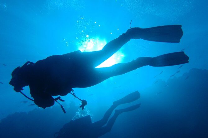 Discover Scuba Diving from the Boot - The Cost and Its Value
