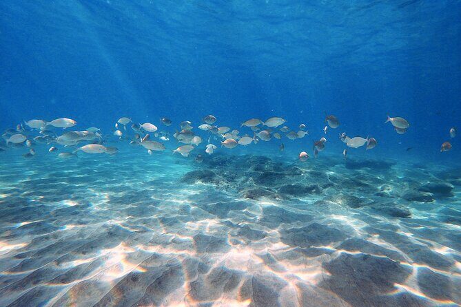 Discover Scuba Diving in Costa Calma - Key Points