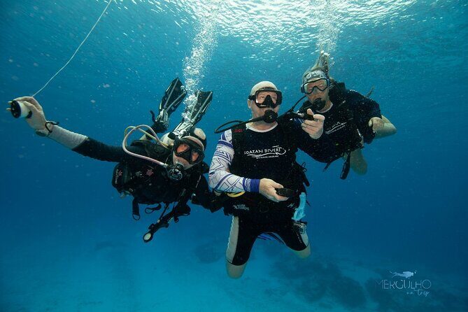 Discover Scuba Diving in Cozumel - Who Will Love This Experience?