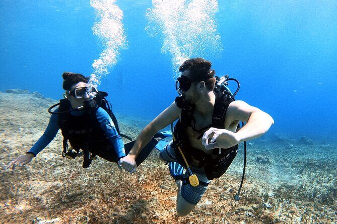 Discover Scuba Diving in Cozumel - Key Points