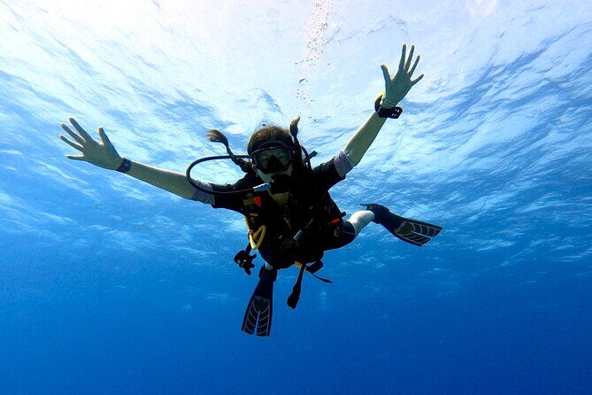Discover Scuba Diving in Cozumel - Who Will Love This Tour?