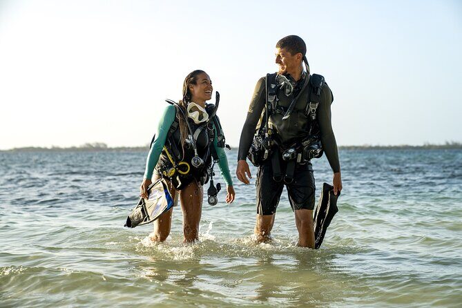Discover Scuba diving in Gran Canaria with Hotel Pick-up - The Sum Up