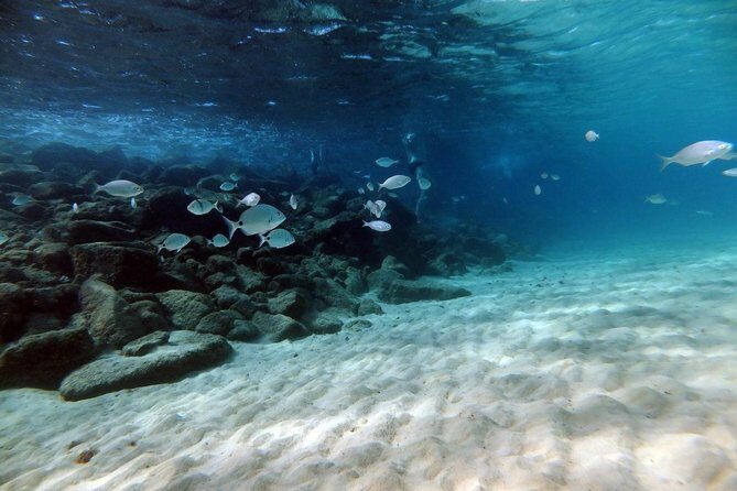 Discover Scuba Diving in Lanzarote (Costa Teguise) - FAQ