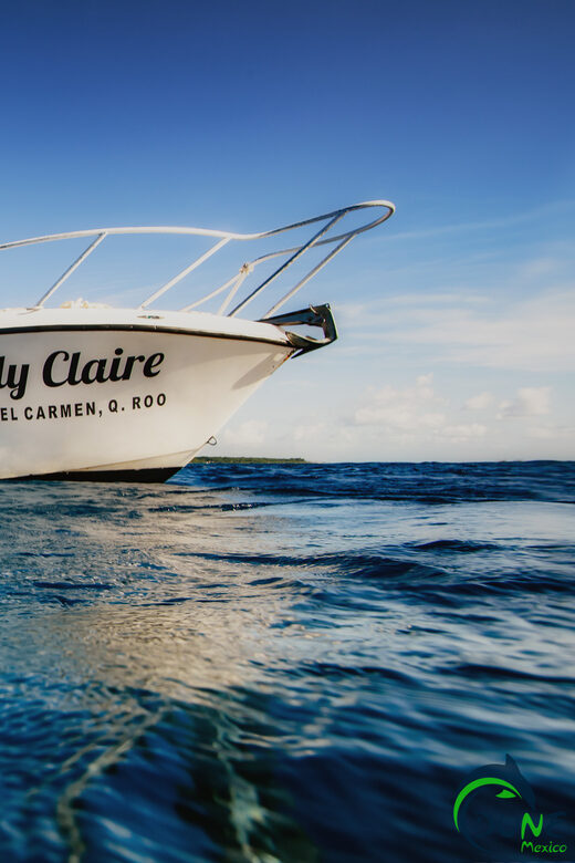 Discover Scuba Diving in Playa del Carmen - 2 dives - FAQ