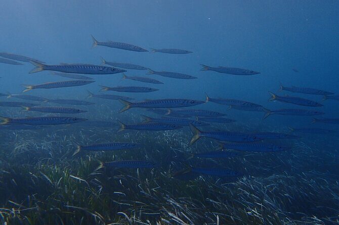 Discover Scuba Diving in Santorini - What You Can Expect from This Tour