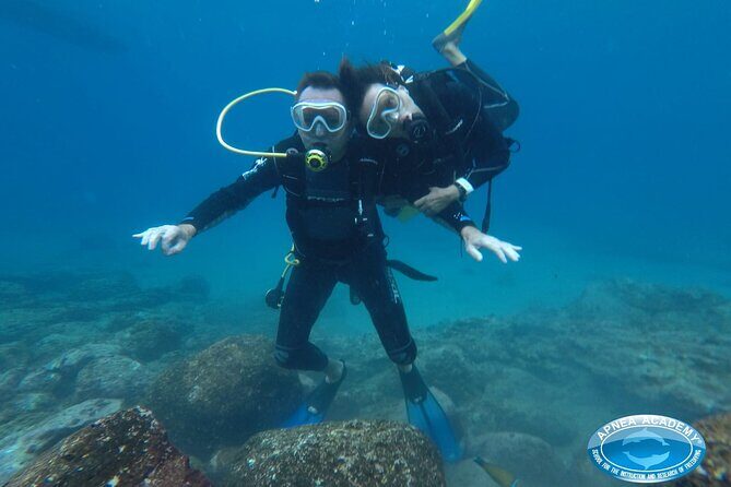 Discover Scuba Diving in Tenerife - What Do Travelers Say?