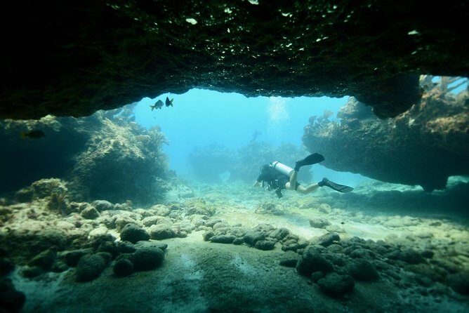 Discover Scuba Diving in Tulum - Why You Should Consider This Tour