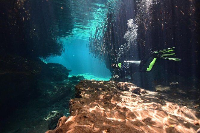 Discover Scuba Diving in Tulum - Practical Details & Tips