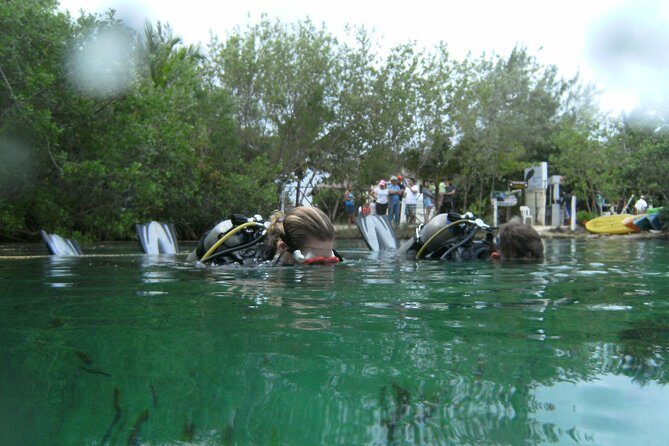 Discover Scuba Diving in Tulum - What We Think: The Strengths & Slight Drawbacks