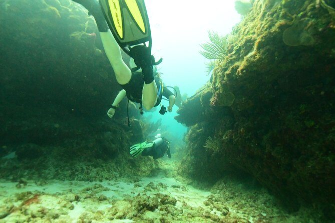 Discover Scuba Diving in Tulum - Frequently Asked Questions