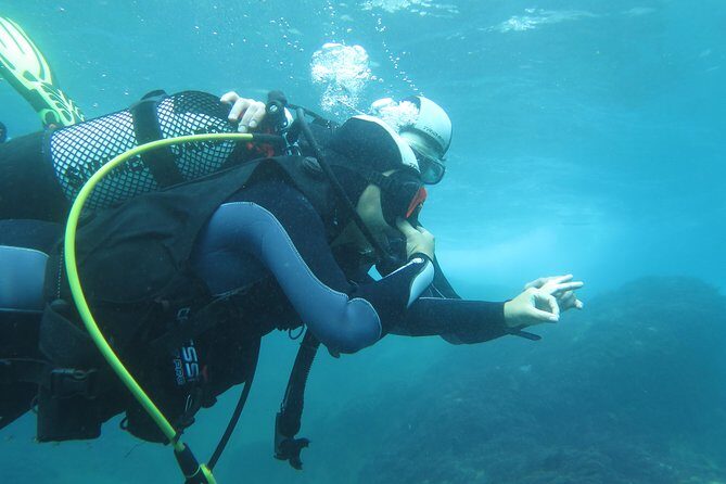 Discover Scuba Diving or Try dive - Final Thoughts