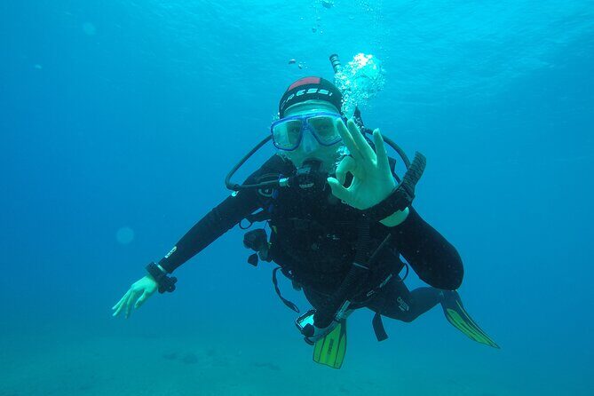 Discover Scuba Diving, Tenerife. Photos and videos included - The Sum Up