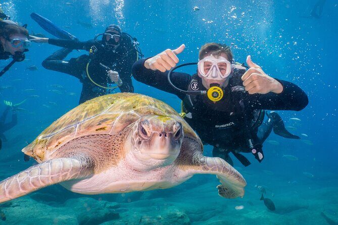 Discover Scuba Diving: Training plus boat dive! - Discover Scuba Diving: Training plus boat dive! - A Practical Look at an Exciting Tenerife Experience