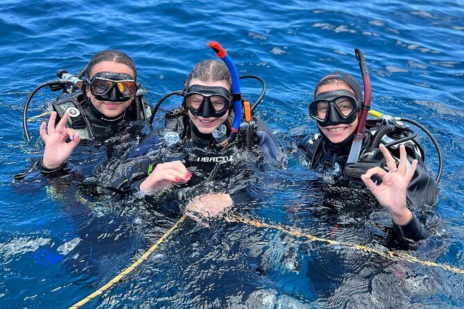 Discover Scuba Diving - Try it for the first time! - Discover Scuba Diving - Try it for the first time! Review