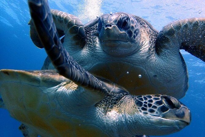 Discover Scuba Diving - Try it for the first time! - What to Expect from the Discover Scuba Diving Experience