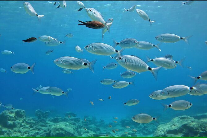 Discover SCUBA Diving with Pissouri Bay Divers - Key Points from the Pissouri Bay Divers Discover SCUBA Experience