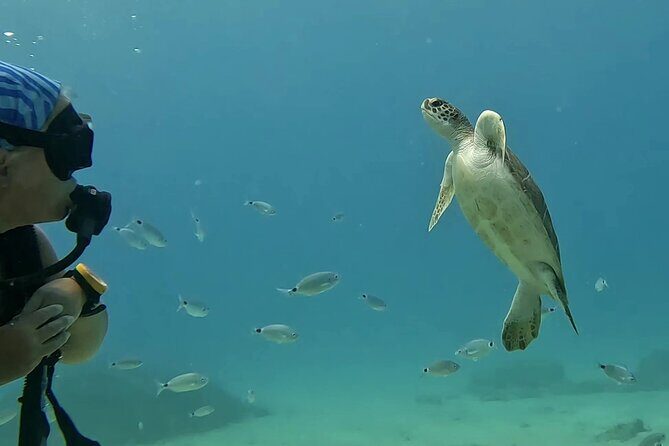 Discover SCUBA Diving with Pissouri Bay Divers - The Underwater Experience: What Youll See and Feel