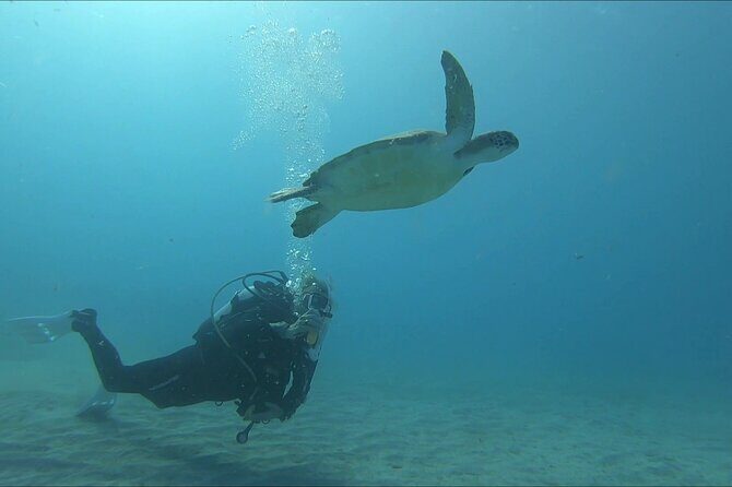 Discover SCUBA Diving with Pissouri Bay Divers - Who Should Consider This Experience?