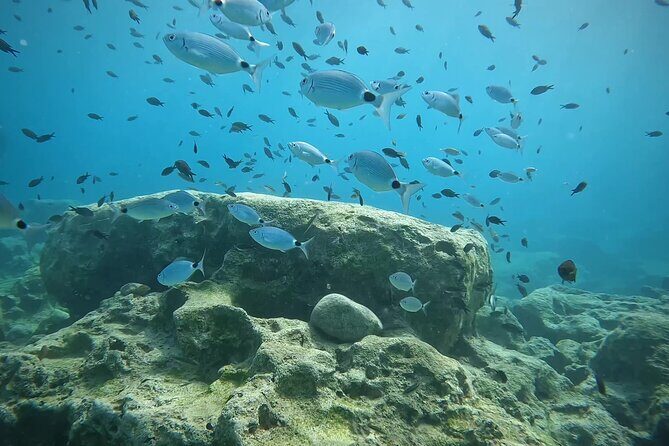 Discover SCUBA Diving with Pissouri Bay Divers - FAQ