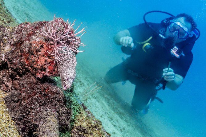 Discover Scuba experience at Las Caletas, Puerto Vallarta - What to Expect from the Discover Scuba Tour
