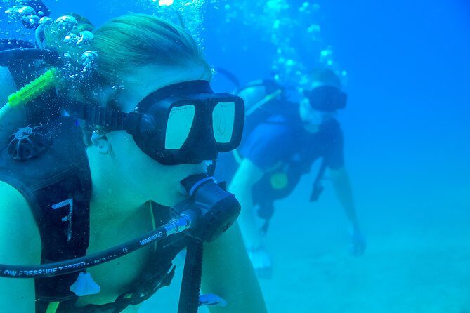 Discover Scuba experience at Las Caletas, Puerto Vallarta - Who Is This Tour Best For?