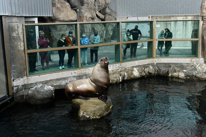 Discover Seward: Self-Guided Audio Tour - Practical Tips