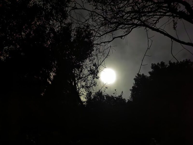 Discover Sintra and Cascais Lisbon Pickup Private Groups - Who Is This Tour Best For?