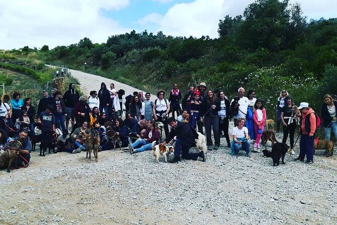 Discover Sintra's Hidden Trails: A Unique Hiking Experience - FAQs