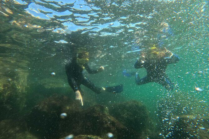 Discover Snorkeling Tour in Panama City - Final Thoughts