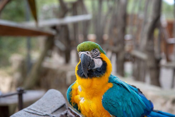 Discover Son Serra de Marina offroad e-scooters 100%FUN adventure - Final thoughts