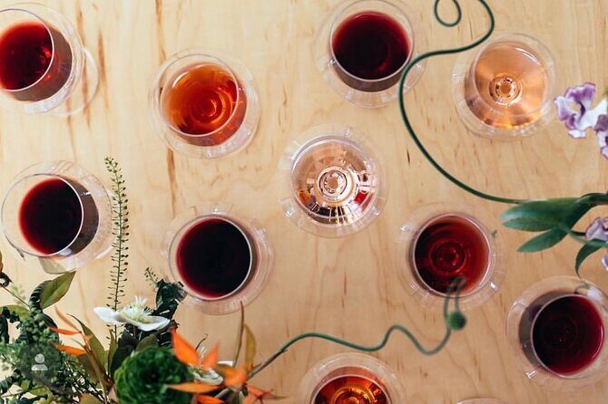 Discover Sonoma's Natural Wineries in Small-Group Tour - Key Points