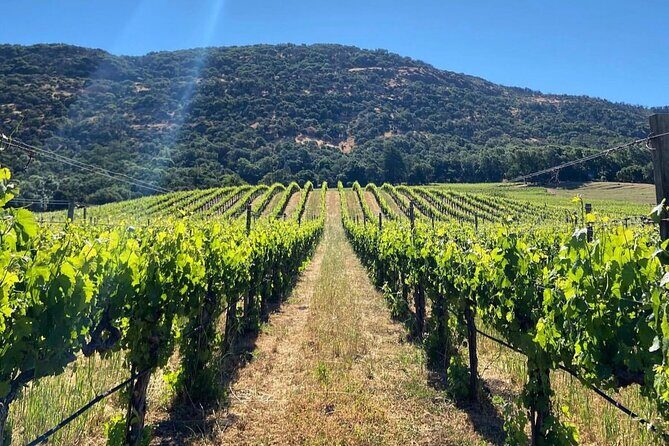 Discover Sonoma's Natural Wineries in Small-Group Tour - A Deep Dive into the Experience