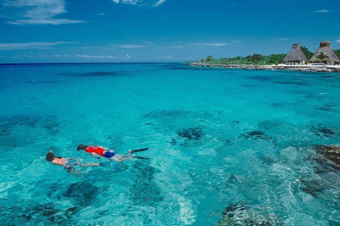 Discover starfish, swim and snorkel at El Cielo Cozumel Reef - Getting to Know the Tour: What’s Included and What’s Not