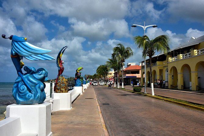 Discover starfish, swim and snorkel at El Cielo Cozumel Reef - Highlights and Challenges