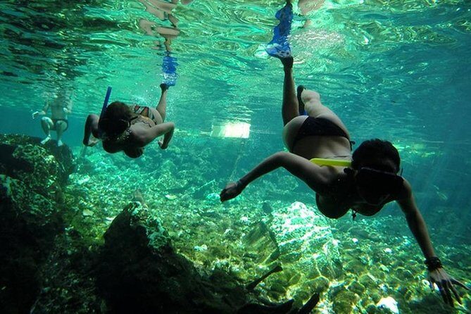 Discover starfish, swim and snorkel at El Cielo Cozumel Reef - Who Should Consider This Tour?