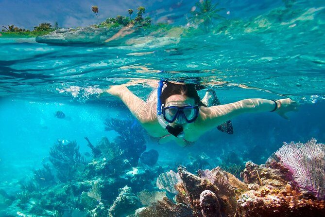 Discover starfish, swim and snorkel at El Cielo Cozumel Reef - Final Thoughts