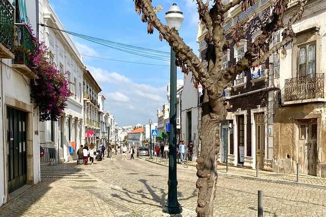 Discover Tavira - Tapas and Wine Tour - Potential Drawbacks or Considerations
