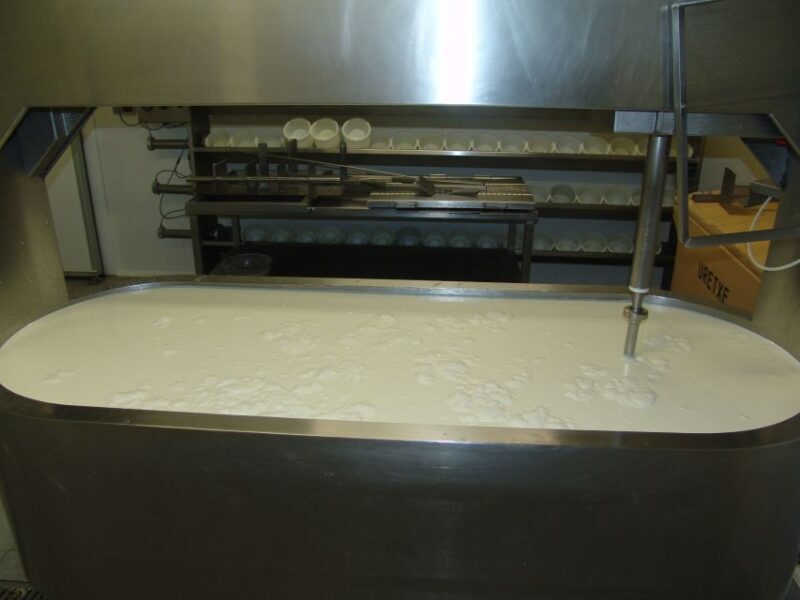 Discover the Art of Idiazabal Cheese in the Basque Country - Authenticity and Value