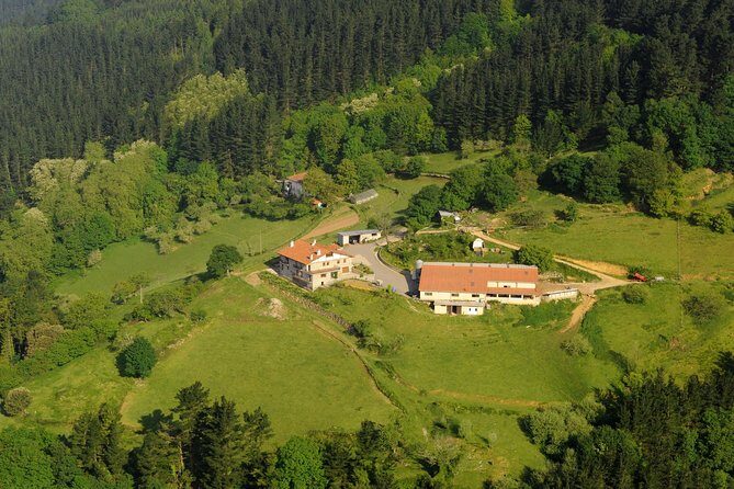 Discover the Art of Idiazabal Cheese in the Basque Country - An In-Depth Look at the Experience