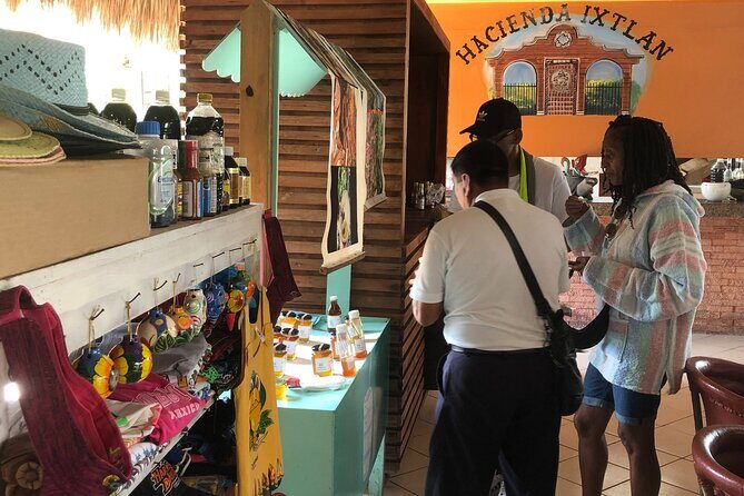 Discover the Best Buggy Adventure in Cozumel from Riviera Maya - An In-Depth Look at the Buggy Tour Experience