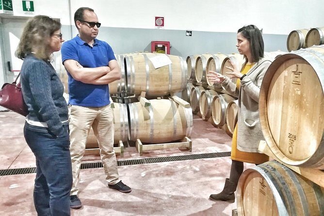 Discover the best cellars of Salento - An In-Depth Look at the Salento Wine Tour