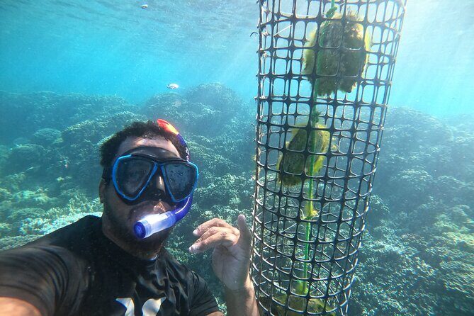 Discover the black pearl in Bora Bora - Transportation and Group Size