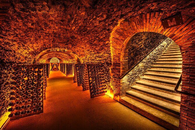 Discover The Cellars in The Heart of The Countryside in Champagne - A Deep Dive into the Champagne Experience