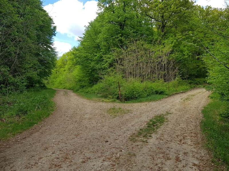 Discover the Charm of Guteria Hill/Sibiu Panorama - What the Reviews Say