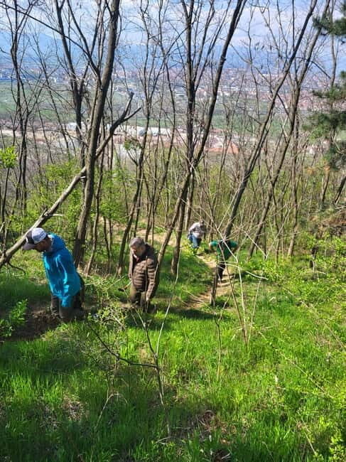 Discover the Charm of Guteria Hill/Sibiu Panorama - How This Tour Compares to Other Experiences
