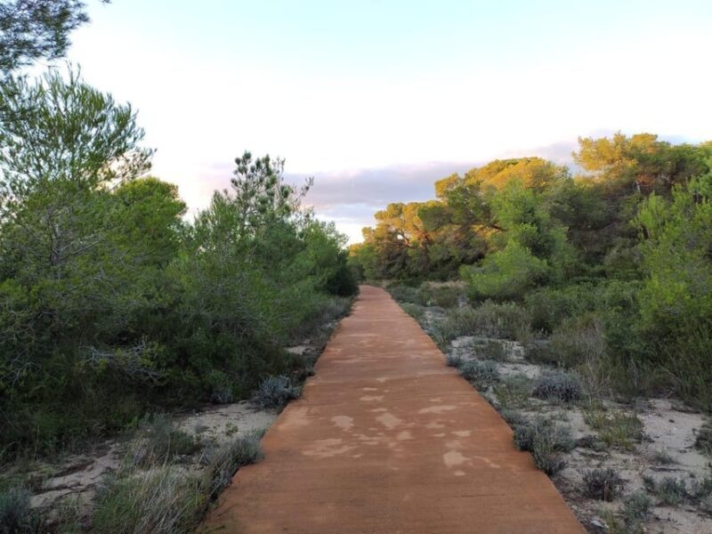 Discover the Devesa and the Albufera: Guided tour - Final Thoughts