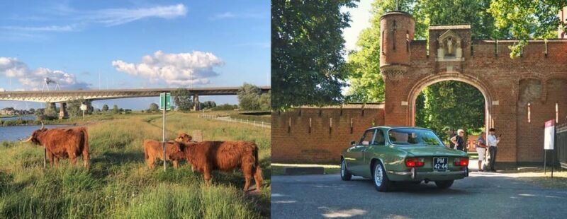 Discover the Dutch Countryside: Car Tour with Local Expert - An Honest Look at the Experience