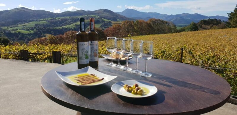 Discover the Essence of Txakoli Wine from San Sebastian - Final Thoughts